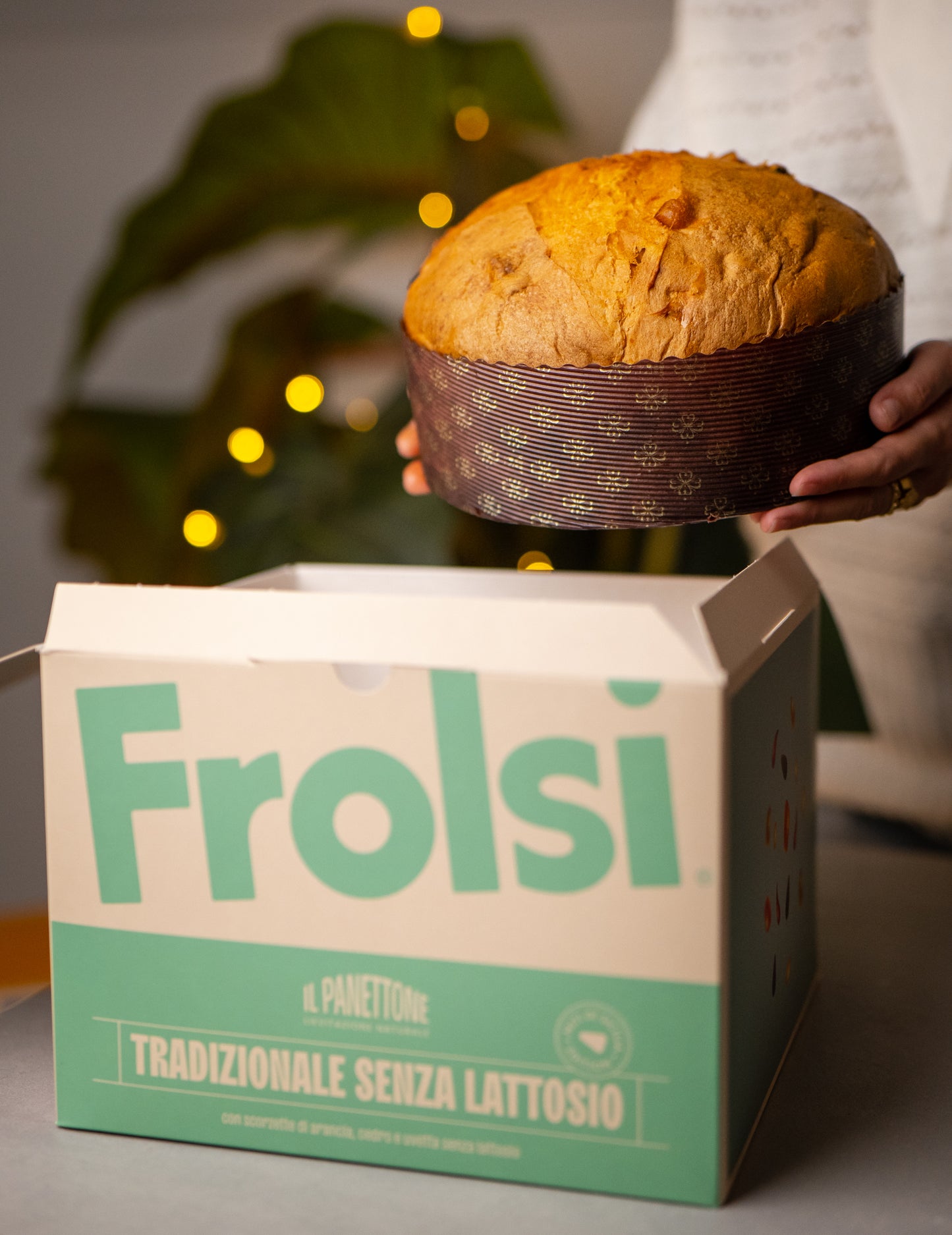 Panettone Tradizionale Senza Lattosio